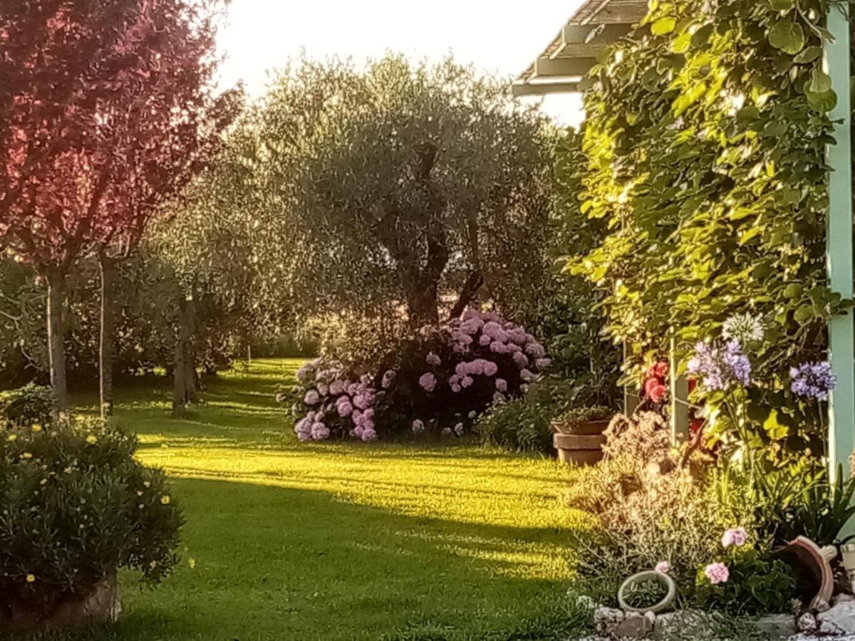 Vecchio Casale Margherita Camaiore Zewnętrze zdjęcie